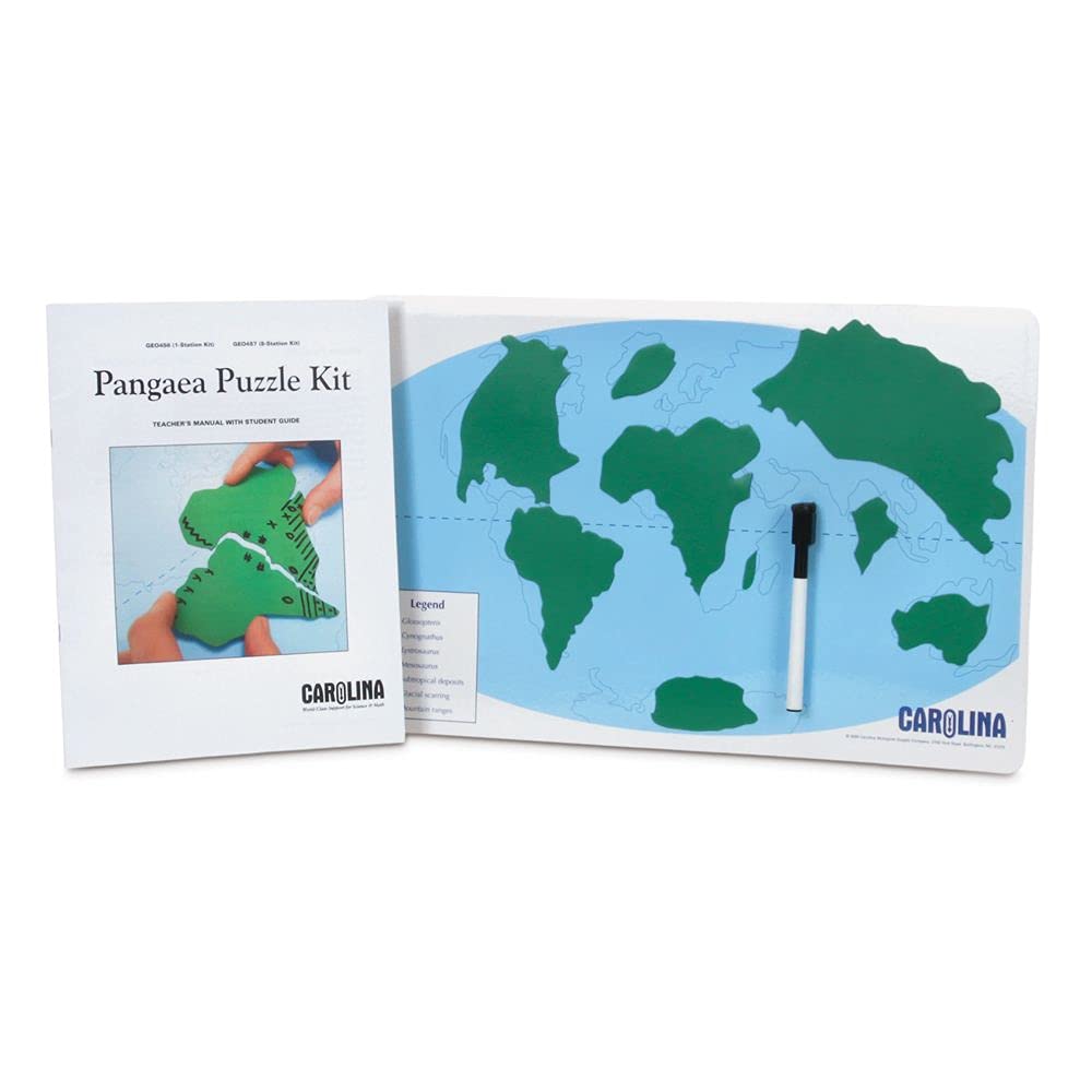 Amazon.com: Pangaea Puzzle 1-Station Kit, Great Homeschool